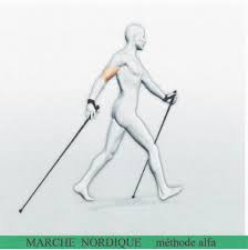 silhouette-de-marche-nordique