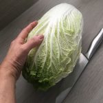 chou-chinois-de-mon-potager