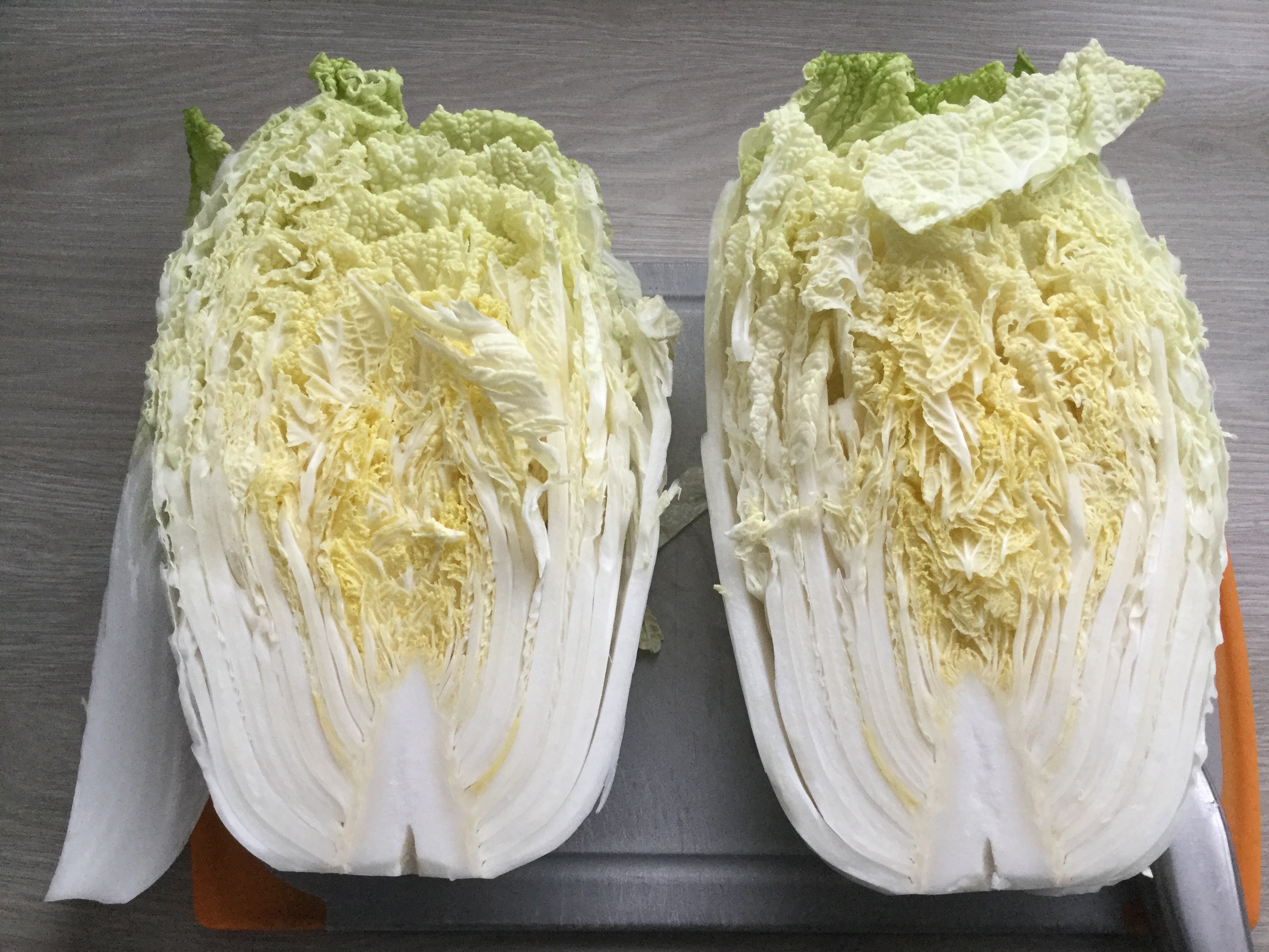 chou-chinois-de-mon-potager