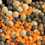 lentilles-multicolores