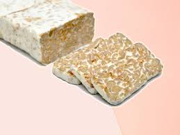 tempeh-en-bloc