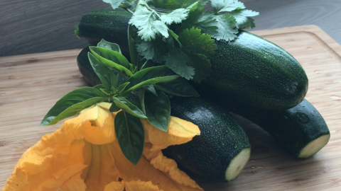 courgette-et-fleur-de-courgette
